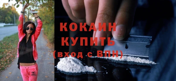 крисы Горняк