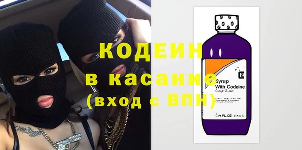 крисы Горняк
