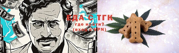 крисы Горняк
