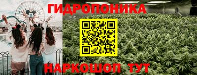 a pvp Гагарин