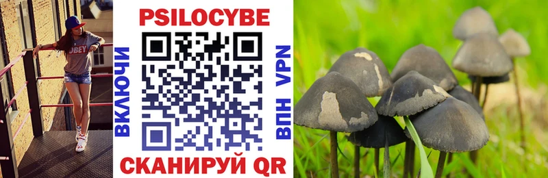 Галлюциногенные грибы Psilocybine cubensis  hydra рабочий сайт  Дубна 