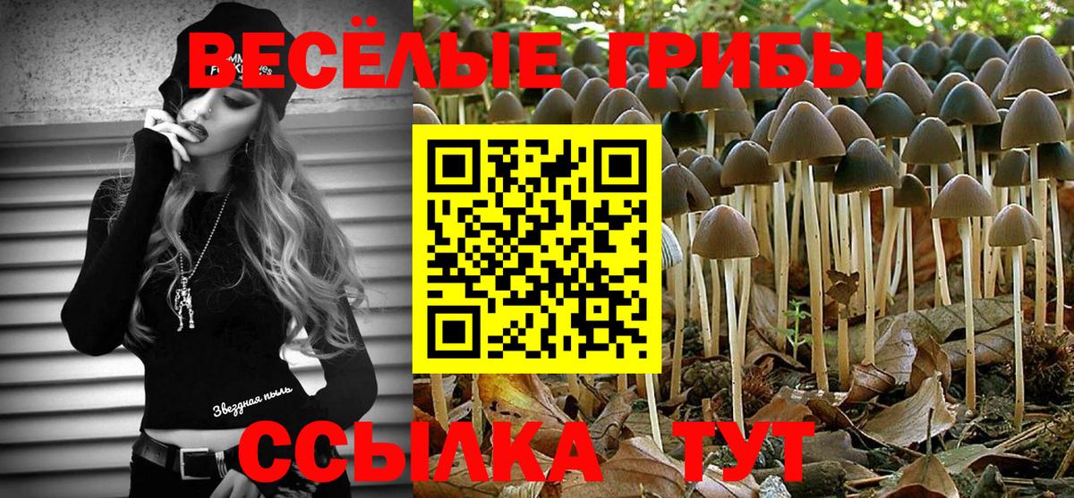 Галлюциногенные грибы Psilocybe Дубна