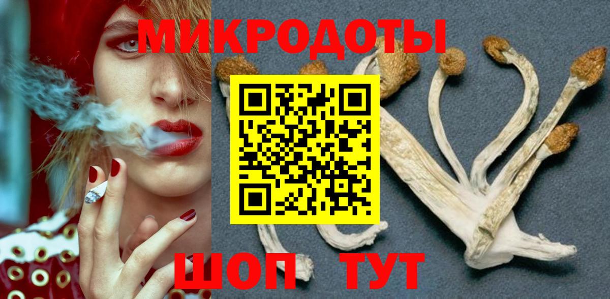 Псилоцибиновые грибы мухоморы Дубна