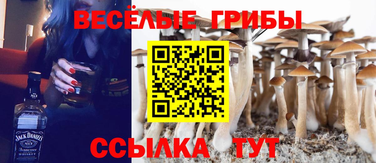 Дубна  Псилоцибиновые грибы MAGIC MUSHROOMS  Вход с VPN 