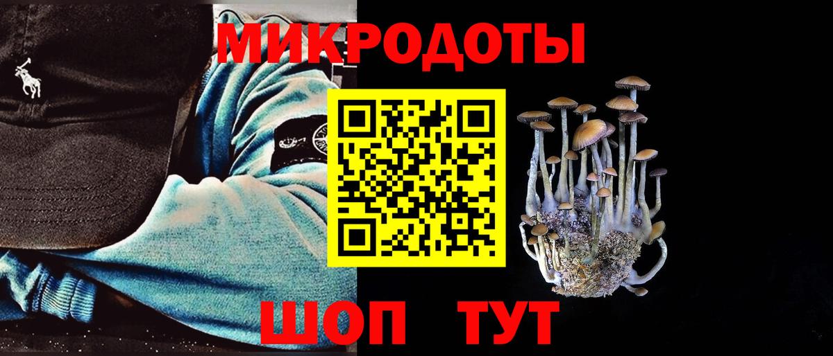 где можно купить   Дубна  Галлюциногенные грибы Magic Shrooms 