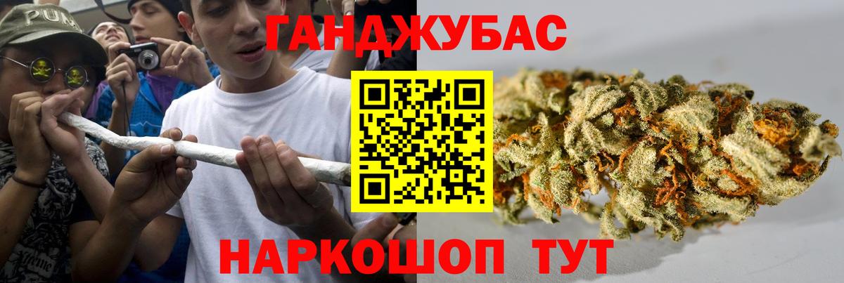 Конопля сатива Дубна